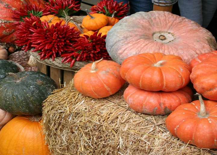 Festa della Zucca Salzano