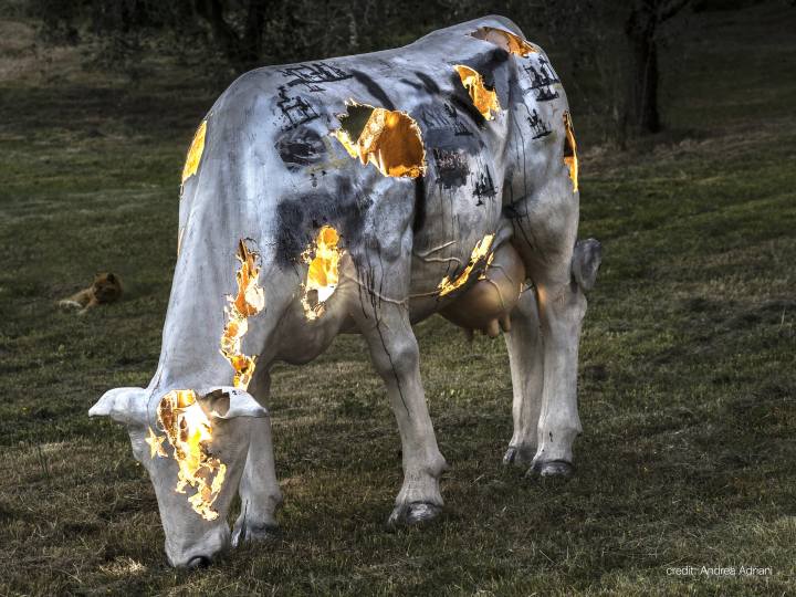 Animali Fantastici. Il giardino delle meraviglie Bologna