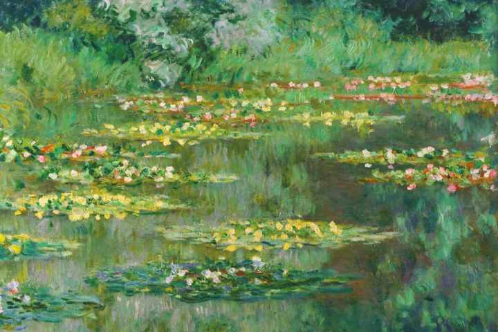 MONET Quelle Ninfee che anticiparono l'Informale Traversetolo