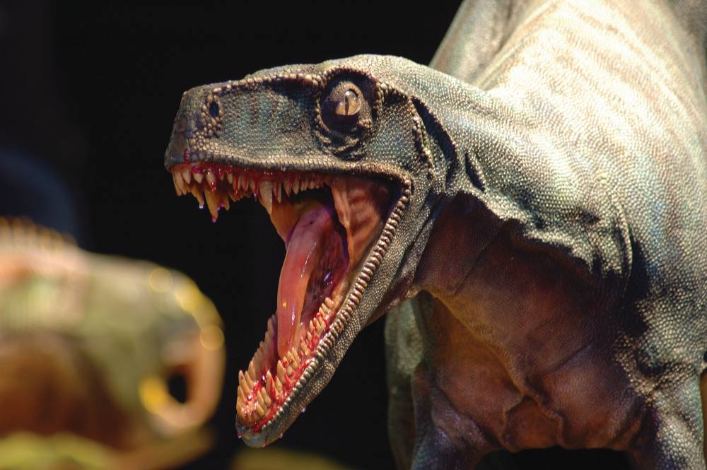 Dinosauri. Giganti dall'Argentina Milano