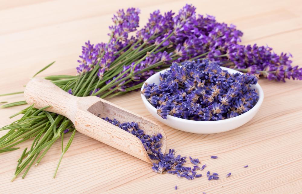 Festa della Lavanda Montombraro