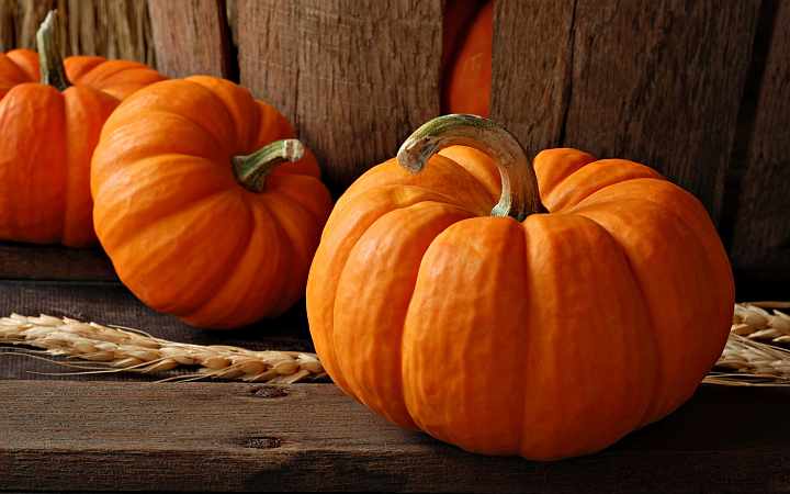 Sagra della Zucca Fagnano Olona