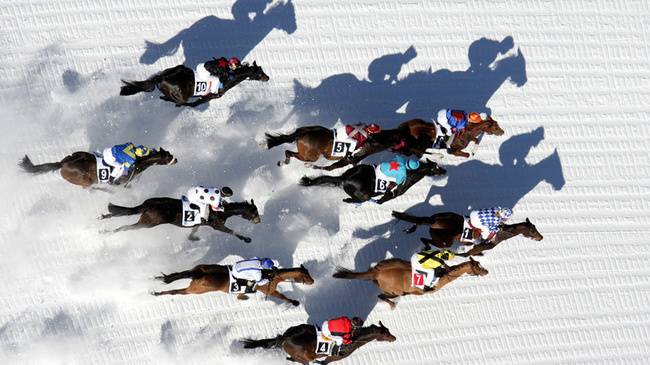 White Turf St Moritz