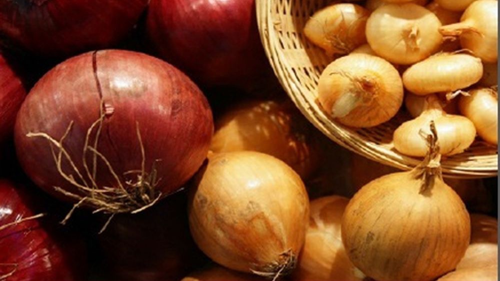 Festa della Cipolla Mezzolara