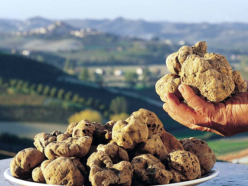 Risultati immagini per sagra tartufo