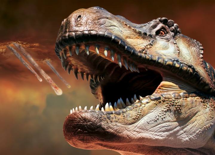 Extinction, prima e dopo la scomparsa dei dinosauri Gubbio