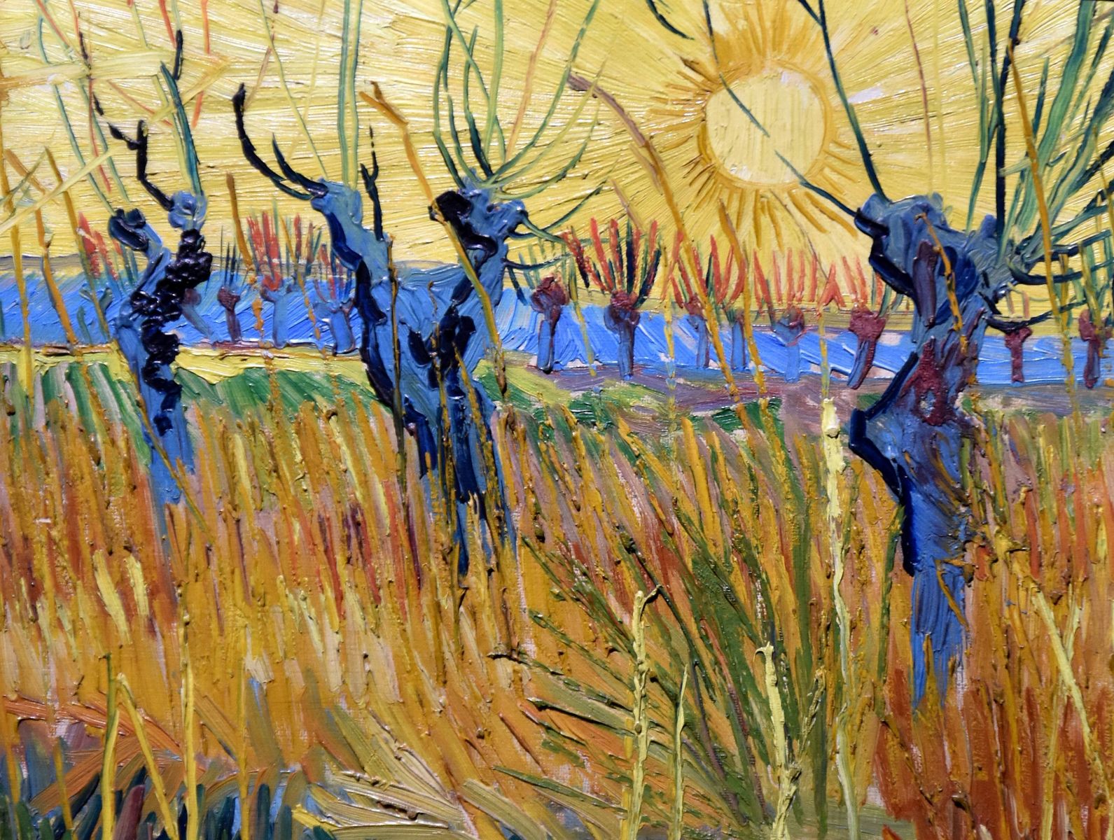 Van Gogh. Tra il grano ed il cielo Vicenza