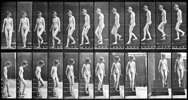 800-muybridge-descending