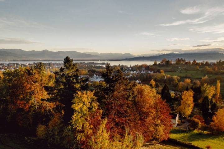 Autunno_sul_Lago_di_Costanza-©Lisa-Dunser-DBT-032