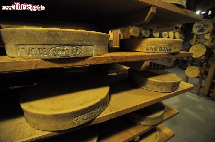 Bitto_Storico_Gerola_Alta_Valtellina