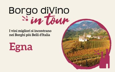 Borgo_diVIno_in_Tour_Egna