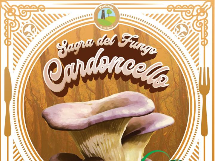 Cardoncello_Spinazzola