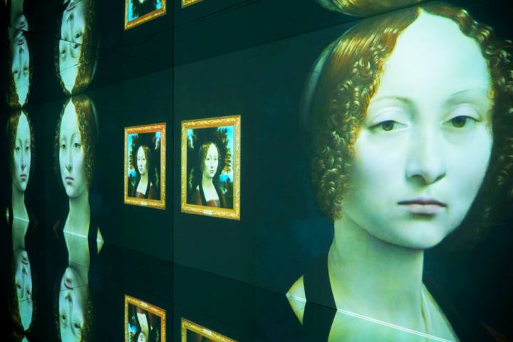Da_Vinci_Experience_Bitti