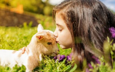 Fattorie_didattiche_bambini_Roma_e_Lazio