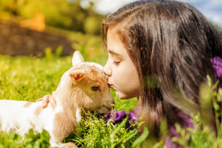 Fattorie_didattiche_bambini_Roma_e_Lazio