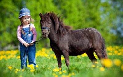 Fattorie_didattiche_cascine_per_Bambini_Milano