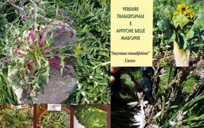 Festa_Verdure_Isnello