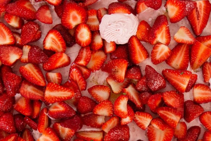 Festa_fragola_Camposampiero