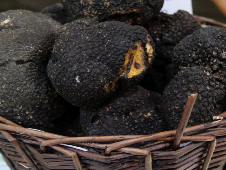 Festa_tartufo_Lazio