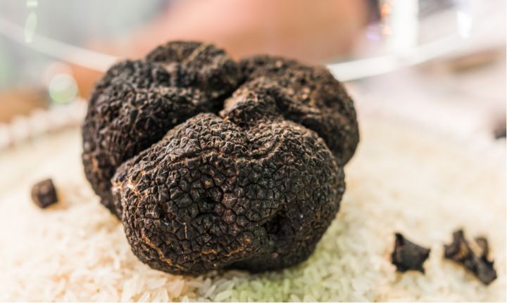 Fiera-Tartufo-Milano_720x431