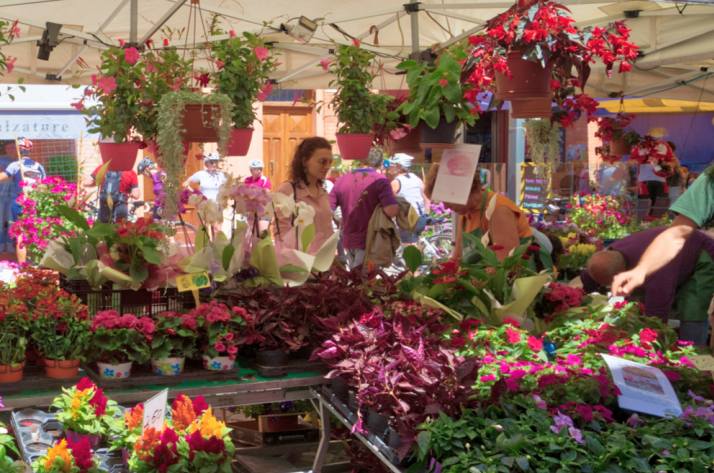 La Festa dei Fiori a Pesaro