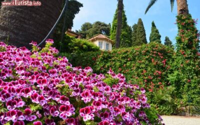 Fioriture_Giardini_Villa_della_Pergola_ad_Alassio