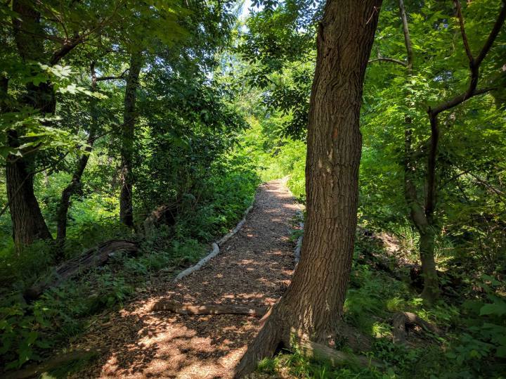 Hallett_Nature_Sanctuary