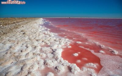 I_colori_del_sale_in_Camargue_Francia_110862479