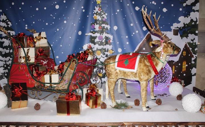 Il_Mondo_Segreto_di_Babbo_Natale_a_Massa_Carrara