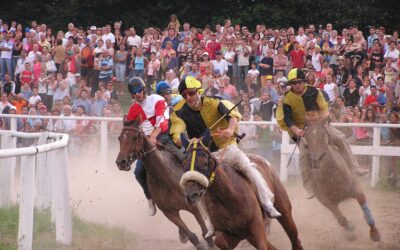 Il_Palio_di_Feltre
