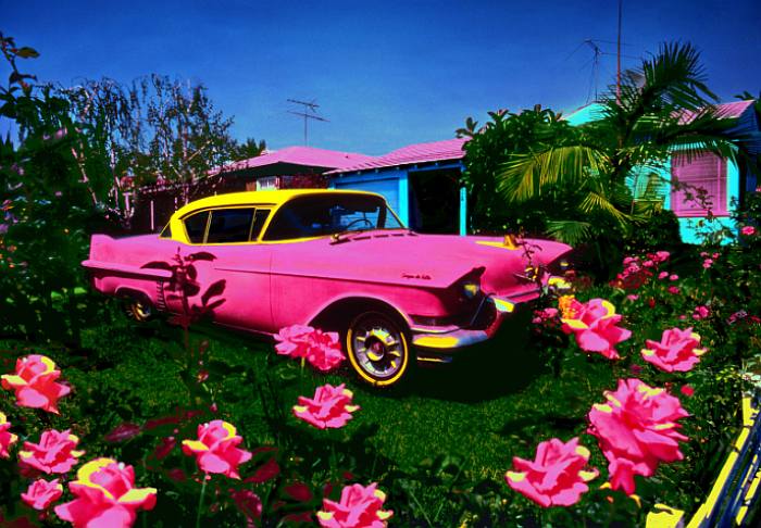 Jane_Gottlieb_Free-Parking-14