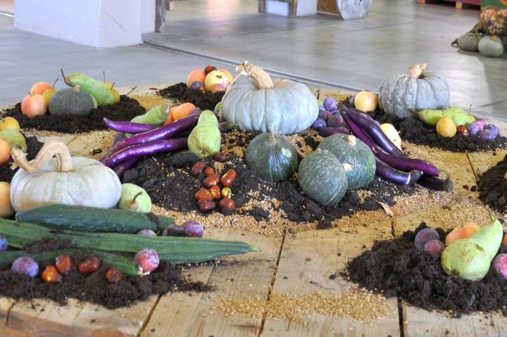 La Fiera Millenaria di Gonzaga