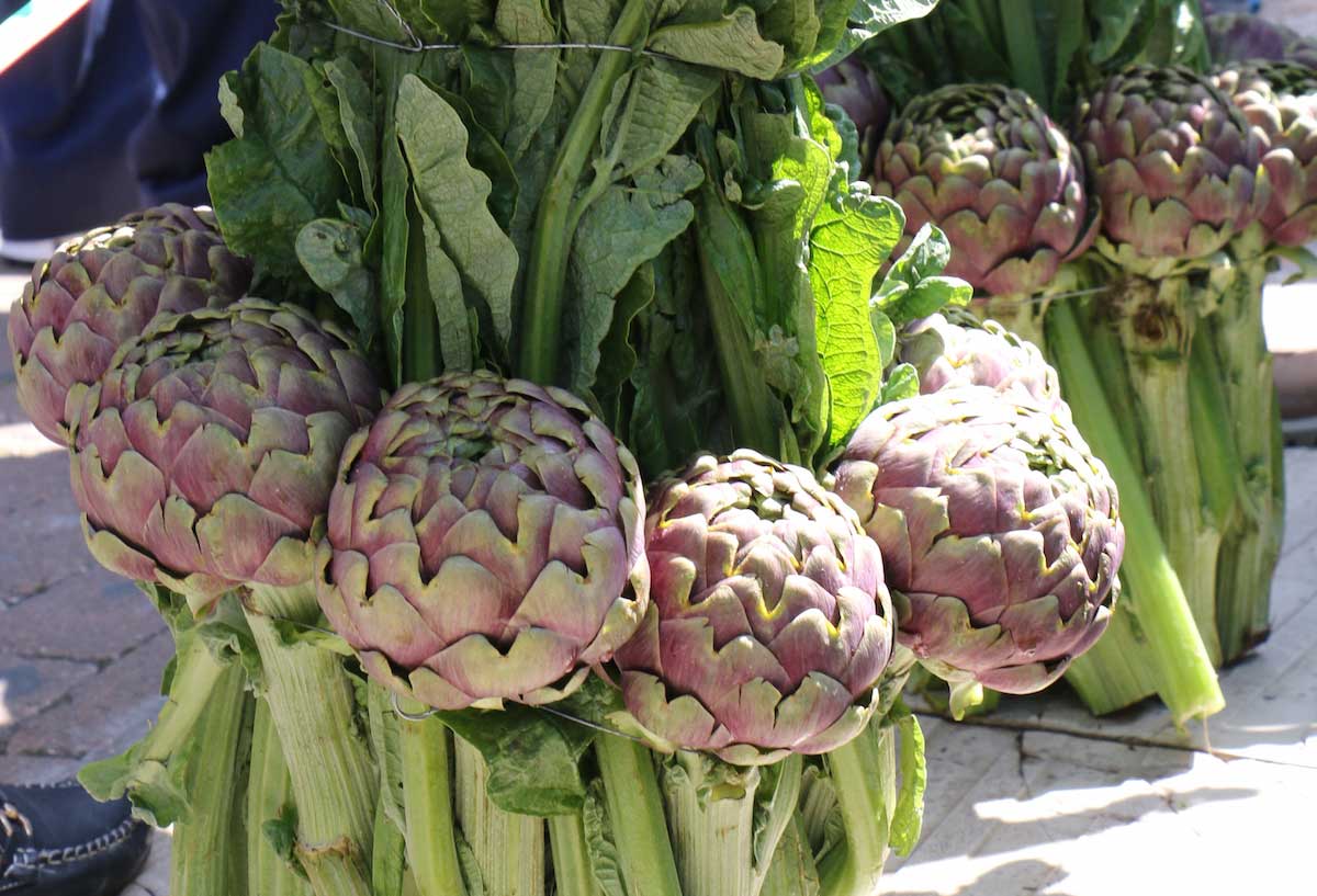 La_Sagra_del_Carciofo_Romanesco_di_Ladispoli
