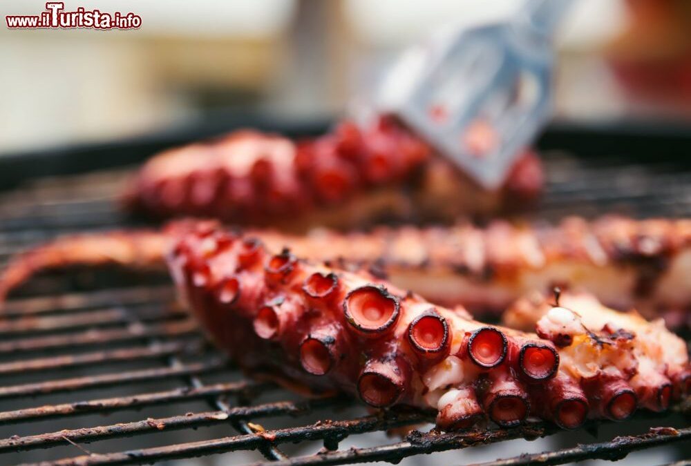 La Sagra del Folpo a Noventa Padovana