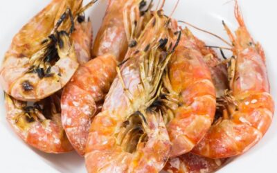 La_Sagra_del_Pesce_a_Termoli