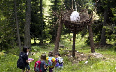 Latemar-Art-2-foto-Apt-Val-di-Fiemme