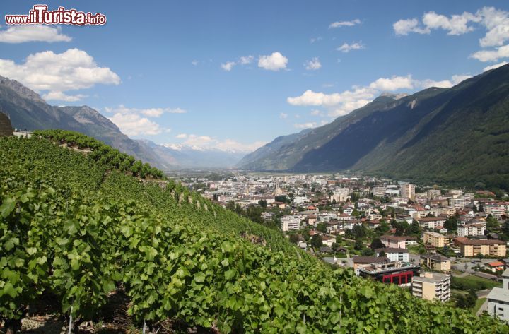 Martigny_la_valle_del_Rodano_e_i_vigneti_del_Vallese_Svizzera_159444482