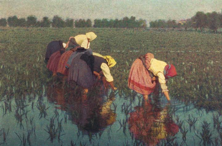 Mostra_Angelo_Morbelli_Gam_Milano
