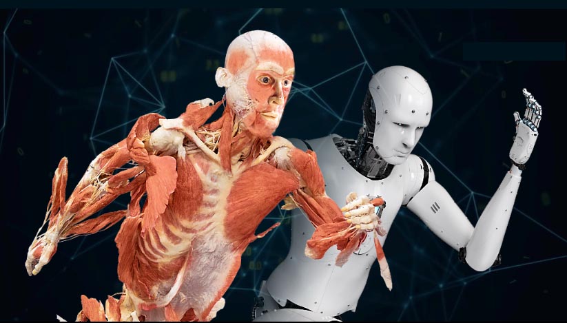 Mostra_Nuova_Real_Bodies_Milano