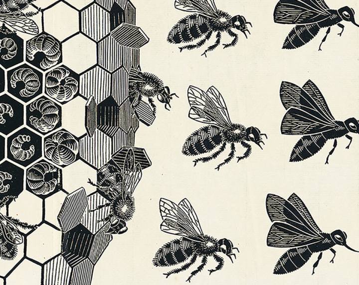 Mostra_su_Escher_a_New_York_CIty