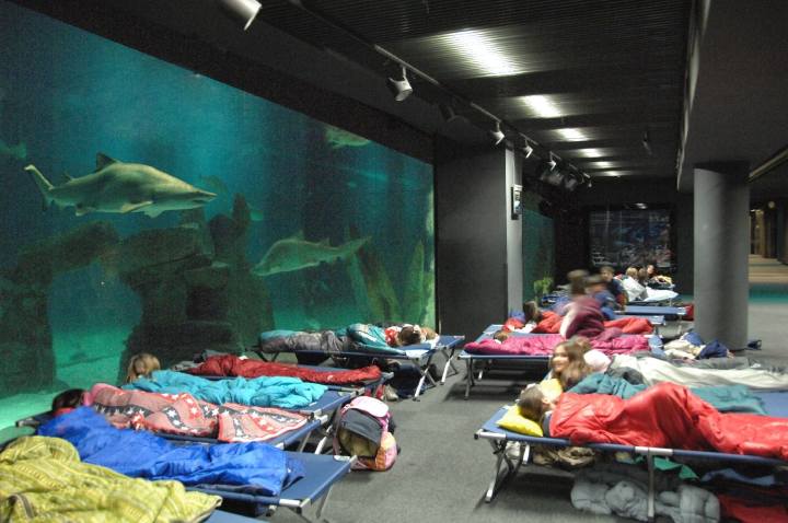 Notte_Squali_Acquario_di_Genova