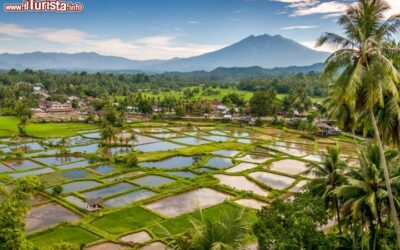 Paesaggi_Isola_Sumatra_Indonesia_165437870
