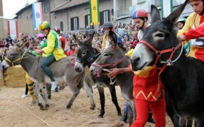 Palio_asini_Alba