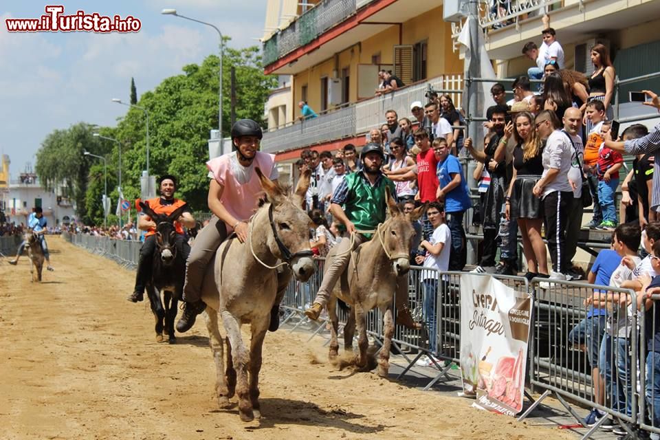 Palio_del_Casale_Camposano