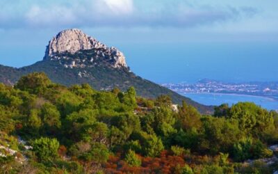Panorama_montagne_Ogliastra-3
