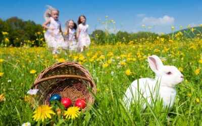Dove andare pasqua con bambini
