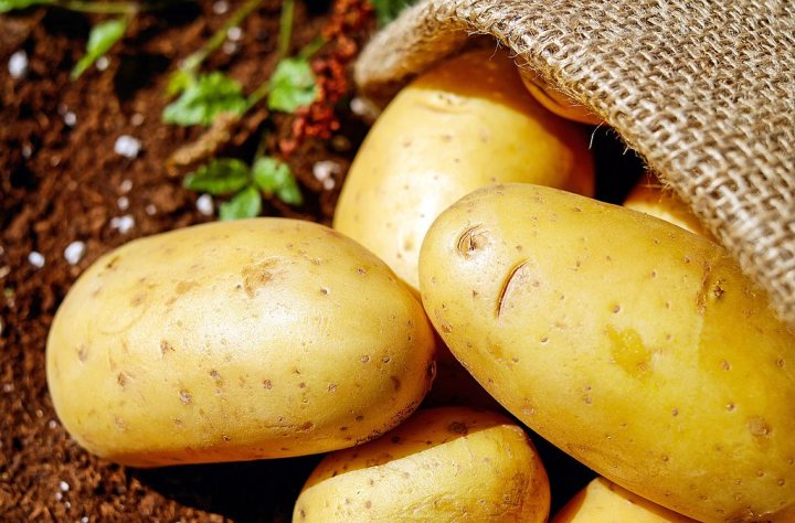 Patate_sagra_Vergato