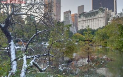 Plaza_Hotel_con_vista_a_Central_Park_Manahttan_88949137