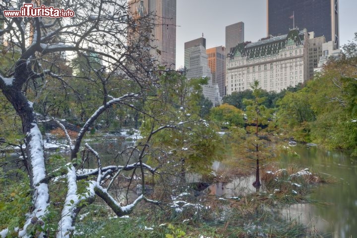Plaza_Hotel_con_vista_a_Central_Park_Manahttan_88949137