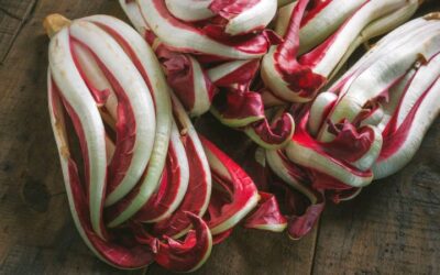 Radicchio_Spresiano